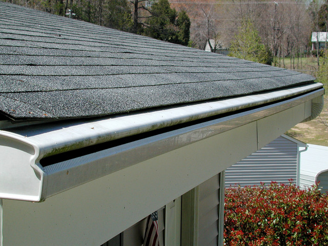 Roof WRXImages