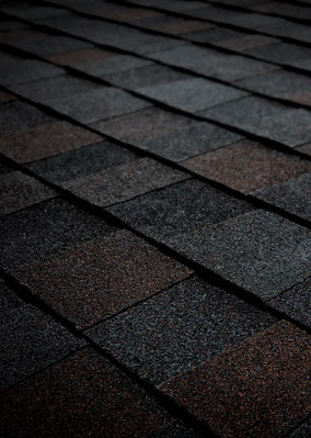 Roof WRX Images