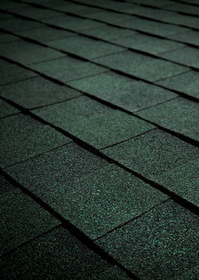 Roof WRX Images