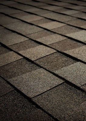 Roof WRX Images